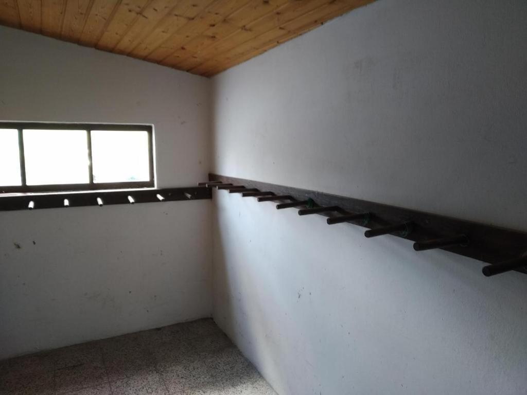 Apartmany Dolni Rokytnice Nad Jizerou Cp 37 Esterno foto